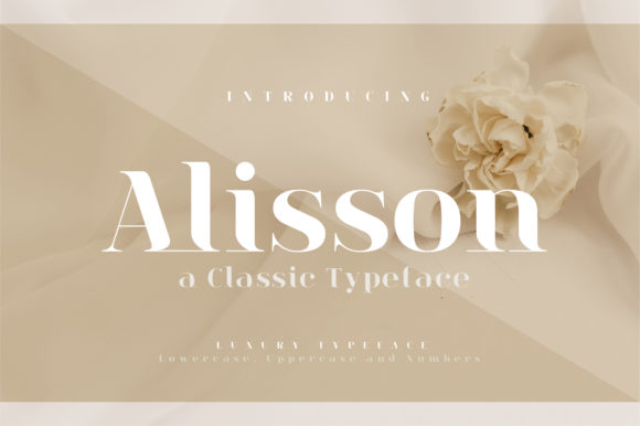 Alisson: The Timeless Serif Font for Every Occasion