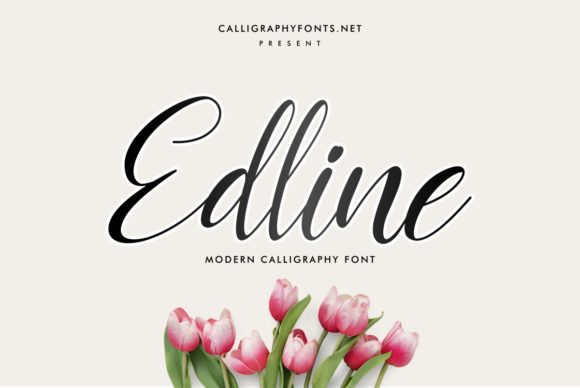 Edline: The Elegant Script Font for Every Creative Need