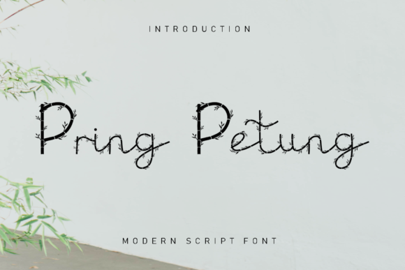Pring Petung: A Stylish Handwritten Font