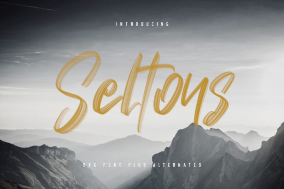 Seltons: A Stylish Brushed Script Font for Strategic Design