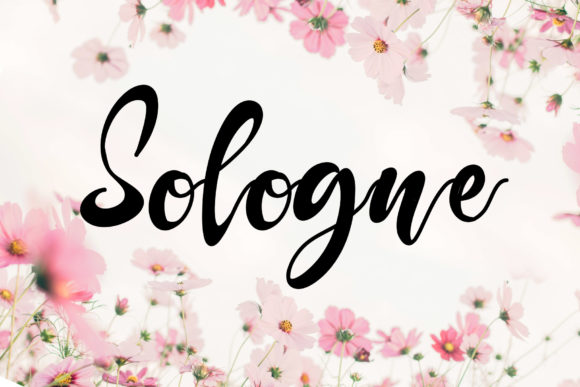 Sologne: Elegant Handwritten Font