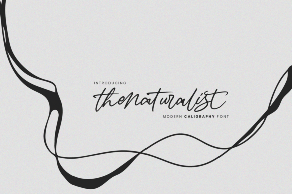 The Naturalist: A Handwritten Font for Every Design
